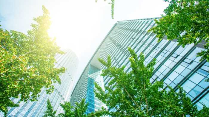 BOMA BEST - Sunlight filtering through verdant trees with modern skyscrapers, boasting Sustainable Building Certifications, towering in the background.