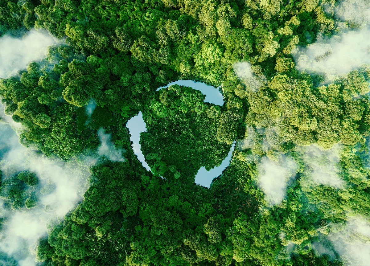 BOMA BEST - Aerial view of dense forest with a circular clearing containing water bodies, surrounded by lush green trees and light clouds, highlighting an untouched landscape that would captivate any institutional investor interested in sustainable and ESG-focused ventures.